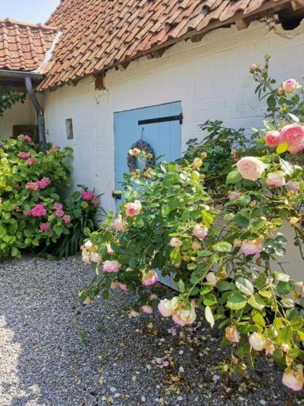 Le Clos De La Rose Gite Bien Etre Wirwignes 外观 照片